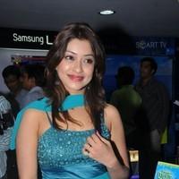 Payal Gosh Hot Gallery | Picture 93172